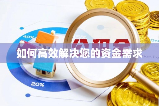 驻马店如何高效解决您的资金需求